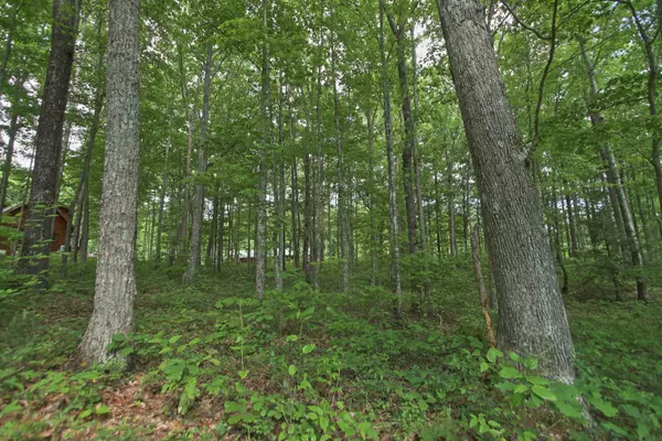 Jamestown, TN 38556,lot 61 Grandview WAY