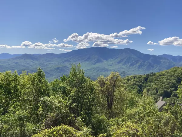 Gatlinburg, TN 37738,1130 Ski View Dr. Unit 306