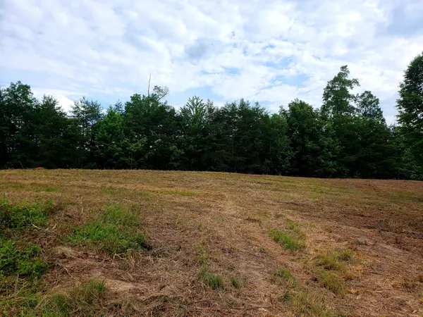 Ten Mile, TN 37880,lots 61,62 Michael Place