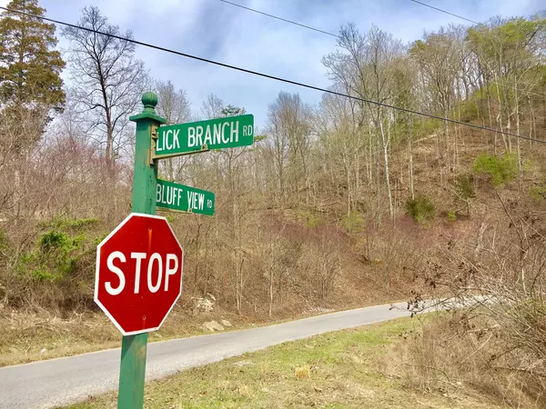 New Tazewell, TN 37825,Lot 290 Bluff View Rd