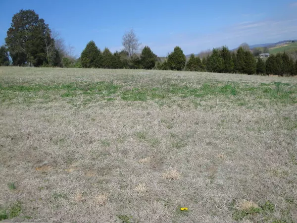 Rutledge, TN 37861,Lot 26 Pocahontas LN