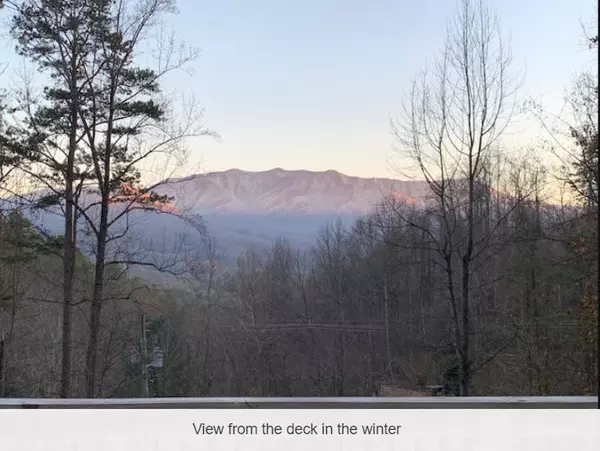 Gatlinburg, TN 37738,1122 Villa LN