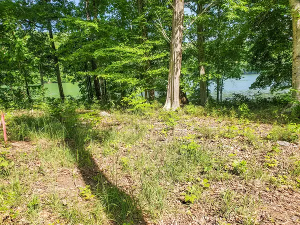 Sharps Chapel, TN 37866,Lot 52 Beech Grove LOOP