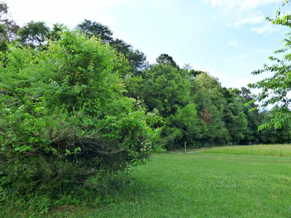 Parcel 113 White Birch, White Pine, TN 37890