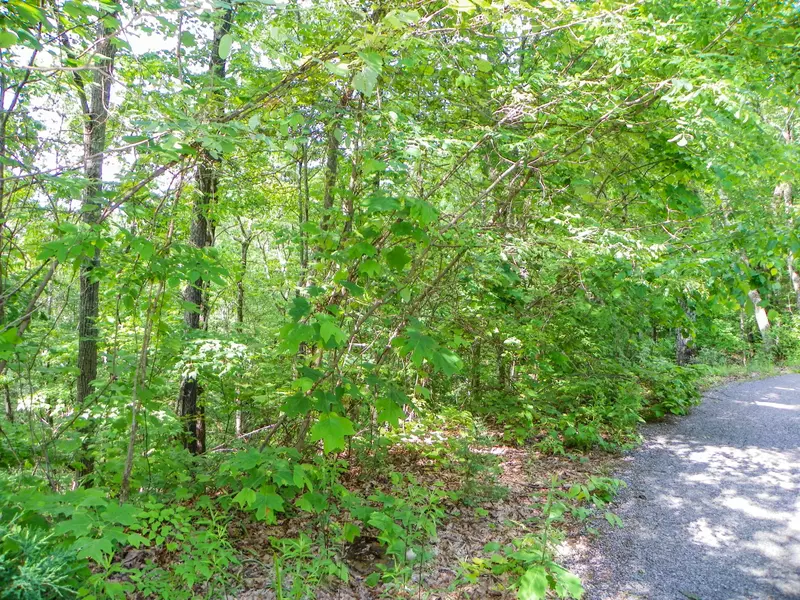 Lot# 65 Dollys DR, Sevierville, TN 37876