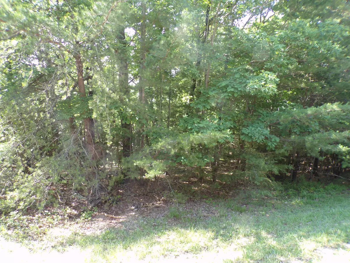 Fairfield Glade, TN 38558,165 Pineridge LOOP