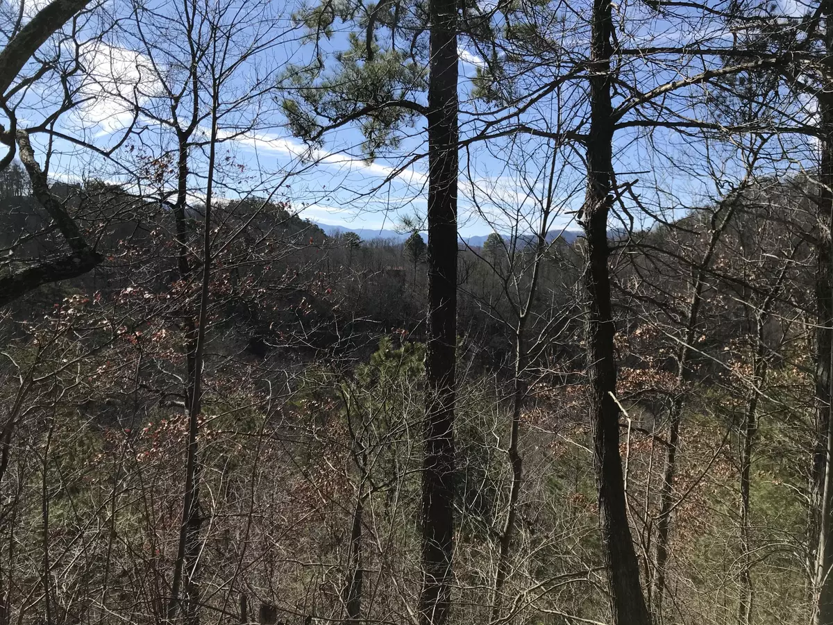 Sevierville, TN 37862,Sugar Maple Loop Rd