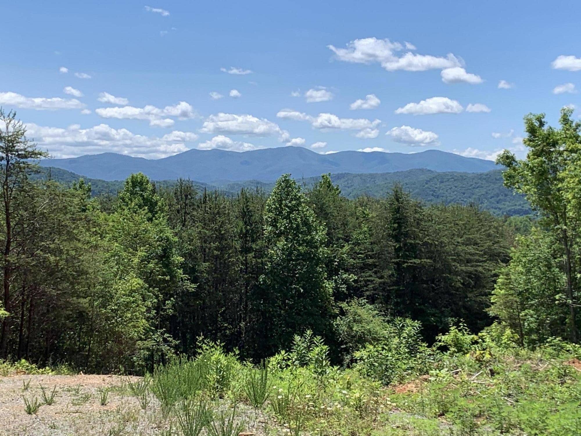 Tellico Plains, TN 37385,Lot 7 Curtis Rd