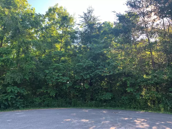 Lot 12R Tucson Rd, Newport, TN 37821