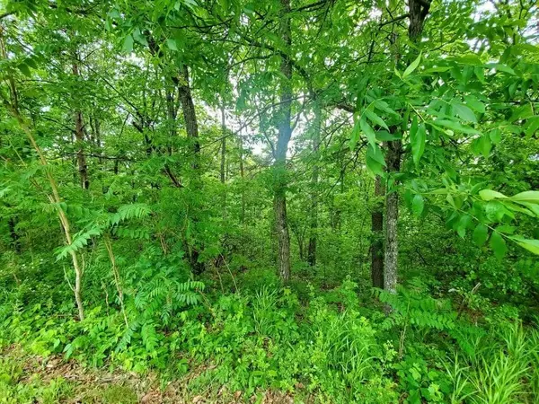 Crab Orchard, TN 37723,Lot 238 Renegade Mountain Pkwy