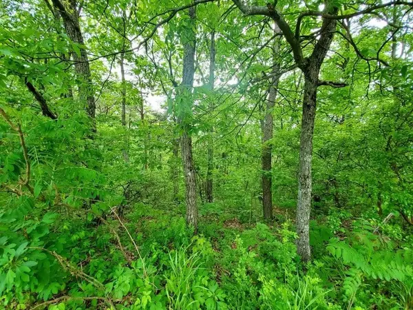 Crab Orchard, TN 37723,Lot 239 Renegade Mountain Pkwy