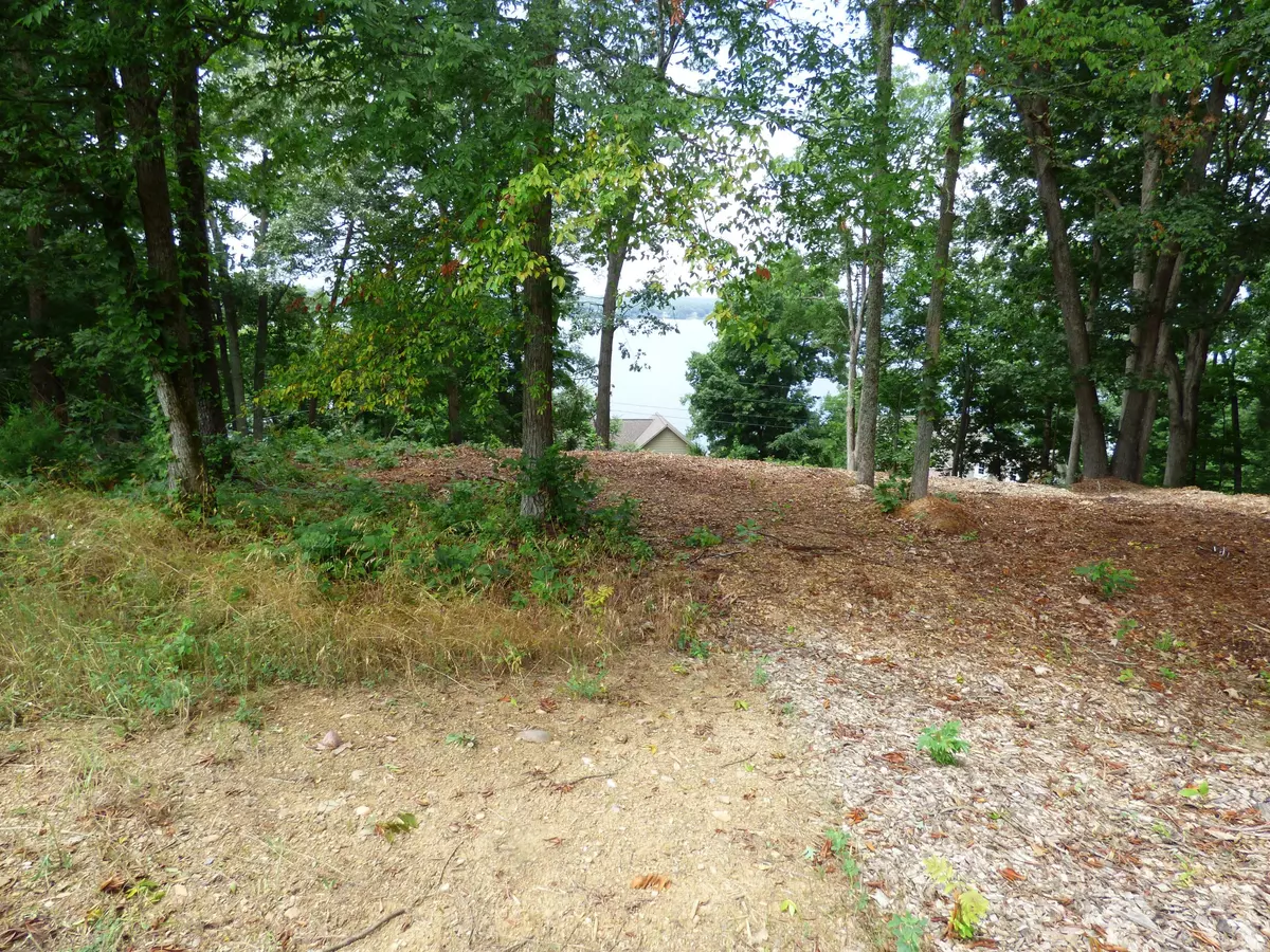 Baneberry, TN 37890,Lots 1123 Mtn View Ln/Lakefront Pl