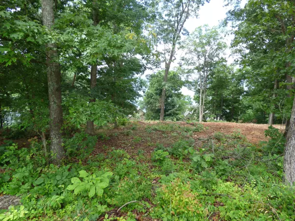 Baneberry, TN 37890,Lots 1123 Mtn View Ln/Lakefront Pl