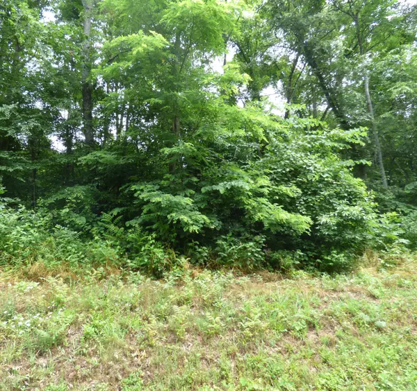 Baneberry, TN 37890,Lot 1134 Mountain View Ln