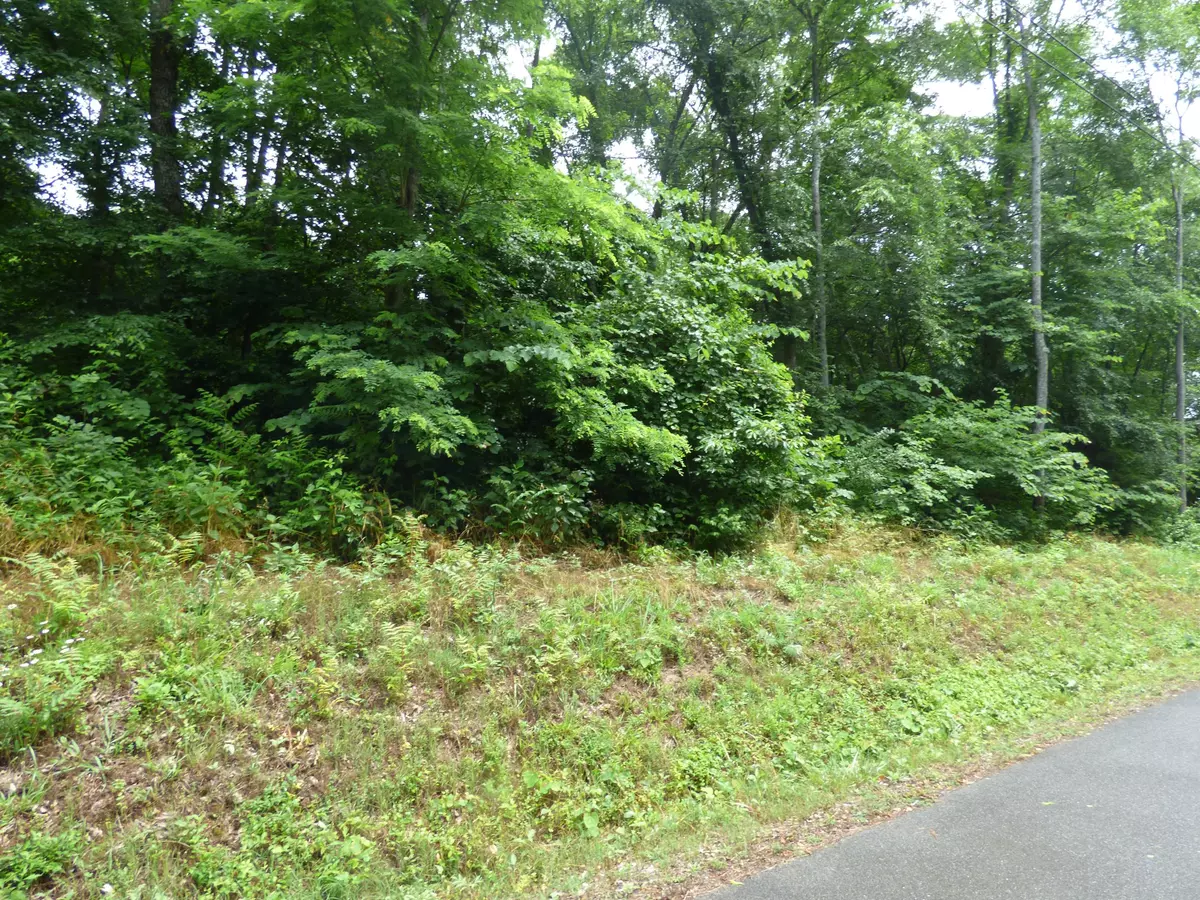 Baneberry, TN 37890,Lot 1134 Mountain View Ln