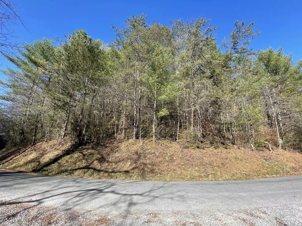 Hartford, TN 37753,000 Raven Branch Rd