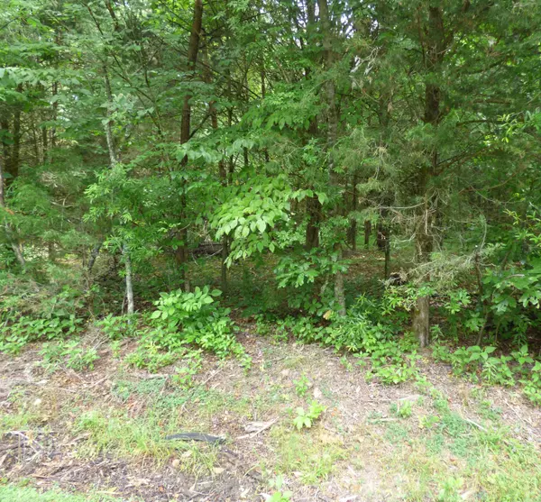 Lot 1024 Mountain View Lane, Baneberry, TN 37890