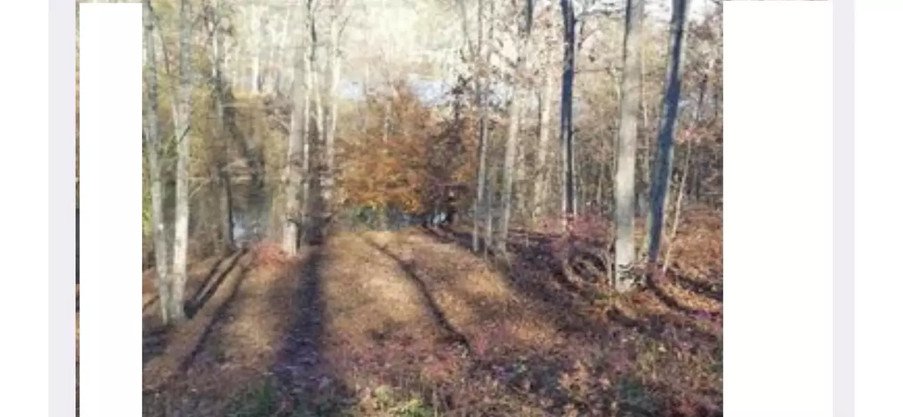 Lot 12 Herron DR, Harriman, TN 37748