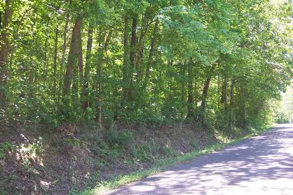 000 County Road 752, Riceville, TN 37370