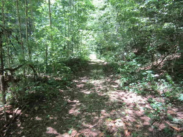 Townsend, TN 37882,Carrs Creek Rd