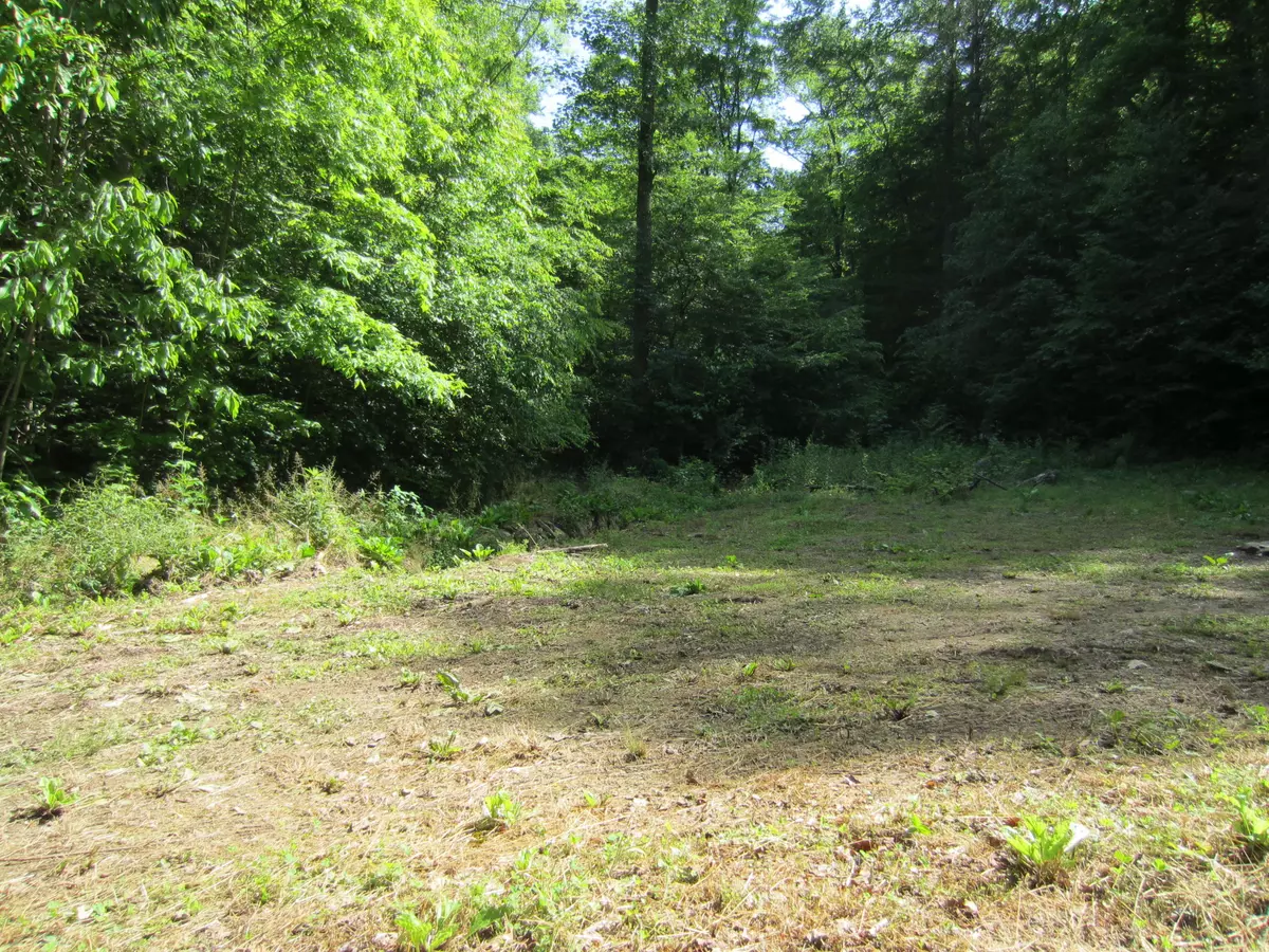 Townsend, TN 37882,Carrs Creek Rd