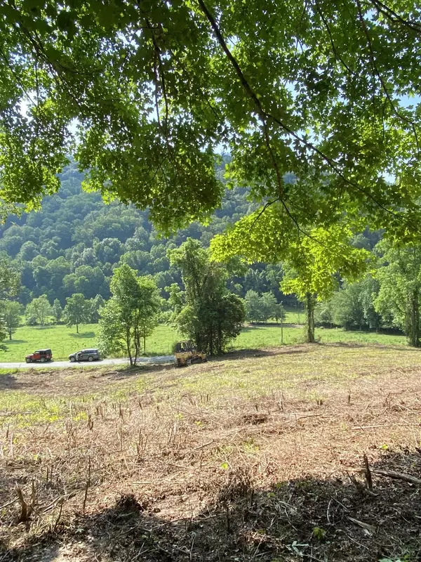 Sneedville, TN 37869,00 Snake Hollow 245ACRES Rd