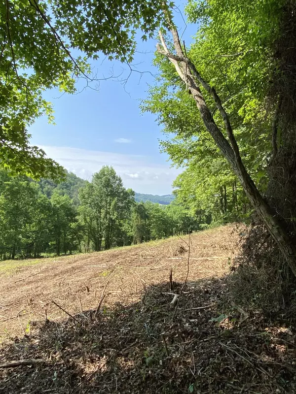 Sneedville, TN 37869,00 Snake Hollow 245ACRES Rd