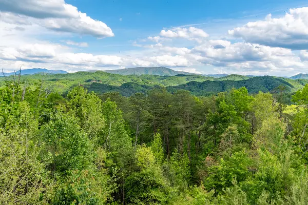 Sevierville, TN 37862,lot 16 Delta Dawn DR