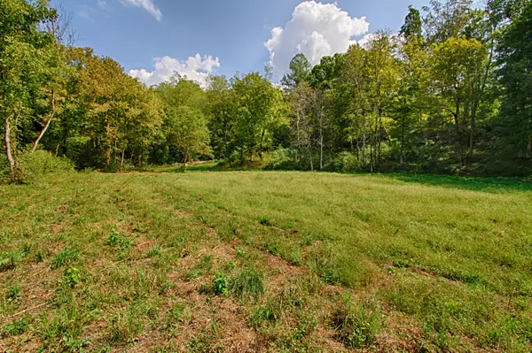 Clinton, TN 37716,Wolf Valley Rd, Lot 3