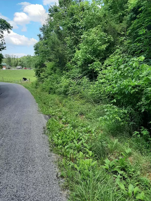 Tellico Plains, TN 37385,166 Mt. Harmony Road