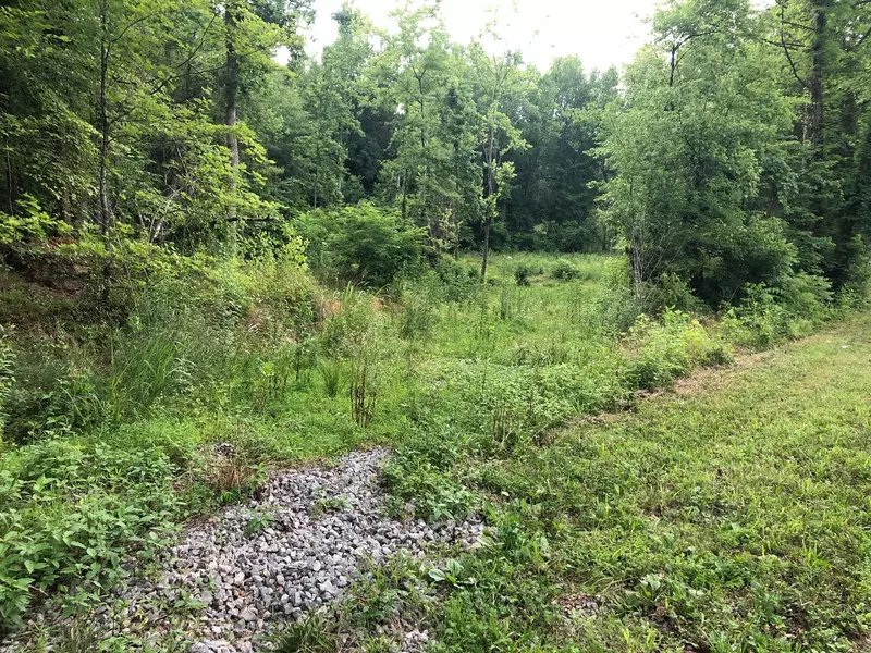 Lot 2 Co Rd 675, Athens, TN 37303