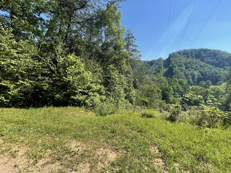 Lot 4 Little Cove Road, Sevierville, TN 37876