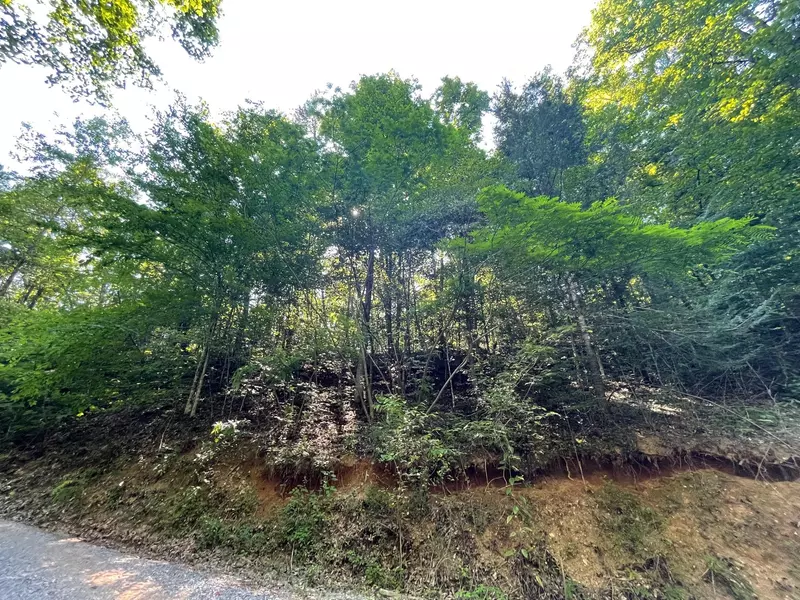 Lot 2R-A Little Cove Road, Sevierville, TN 37876