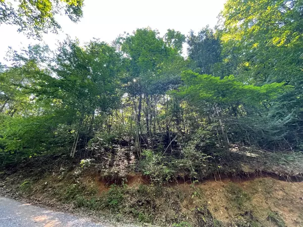 Sevierville, TN 37876,Lot 2R-A Little Cove Road