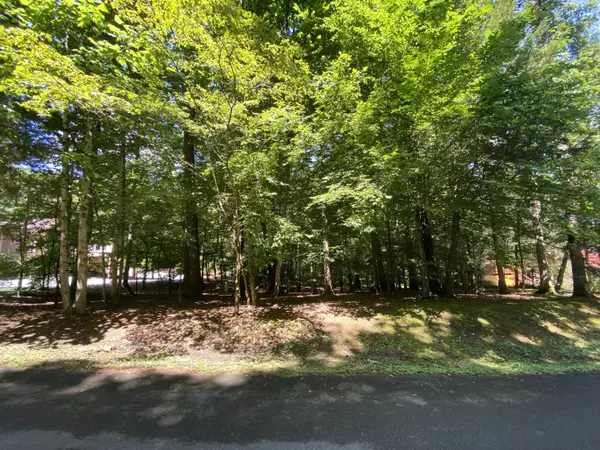 Townsend, TN 37882,Domar DR