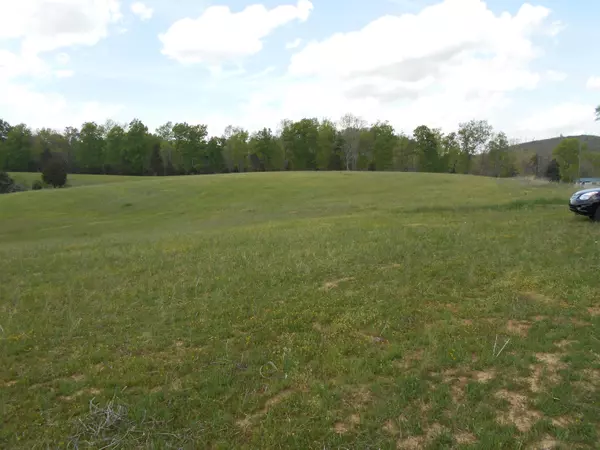 Tellico Plains, TN 37385,lot # 2 Gamble Gap Rd