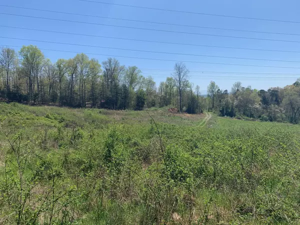 Rutledge, TN 37861,1341 Greenlee Rd