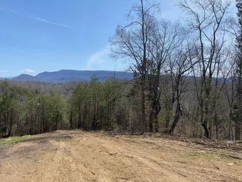 Seymour, TN 37865,703 Knob Creek Rd