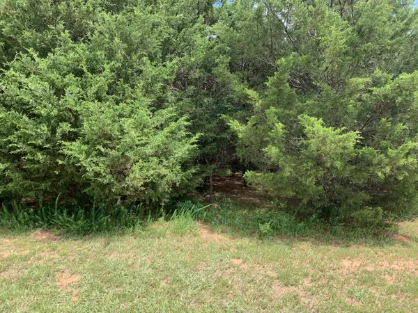 lot 21 Dudi Tr, Vonore, TN 37885