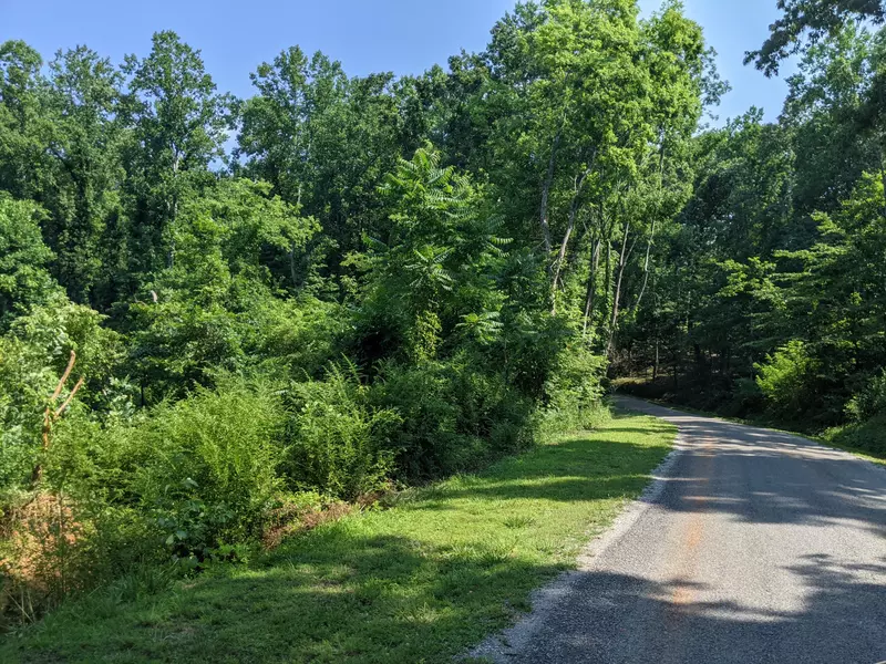 Lot 49 Bluewater Tr, Spring City, TN 37381