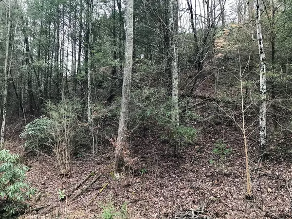 Butler Branch Rd,  Gatlinburg,  TN 37738