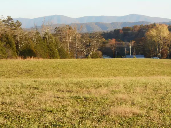 lot # 7 Shadden Rd, Tellico Plains, TN 37385