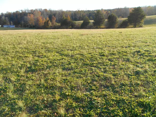 Tellico Plains, TN 37385,lot # 5 Shadden Rd