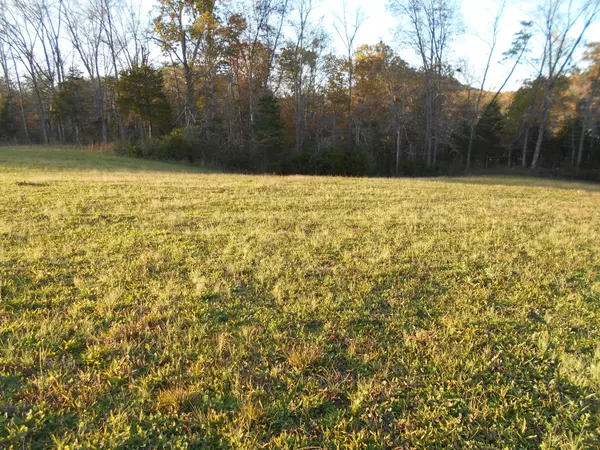 Tellico Plains, TN 37385,lot # 5 Shadden Rd