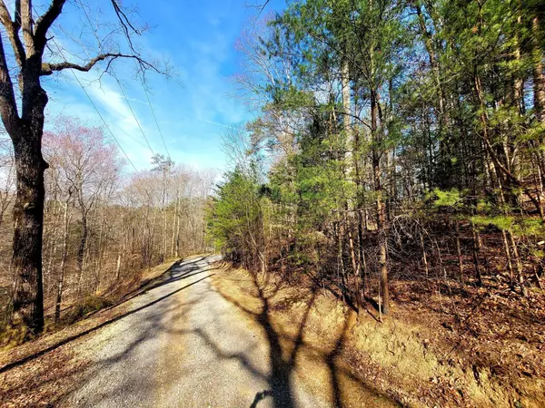 Seymour, TN 37865,Lot 26 Roy Lee WAY