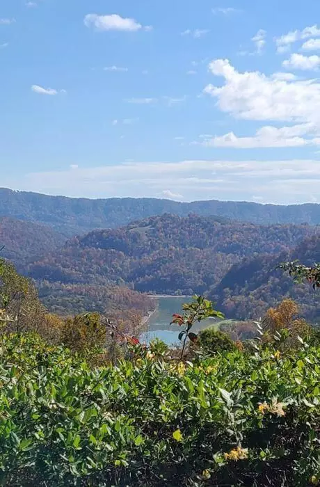 Long Beard Norris Acres Lane, Tazewell, TN 37879