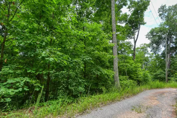 Seymour, TN 37865,Goose Creek  Lot 64 WAY