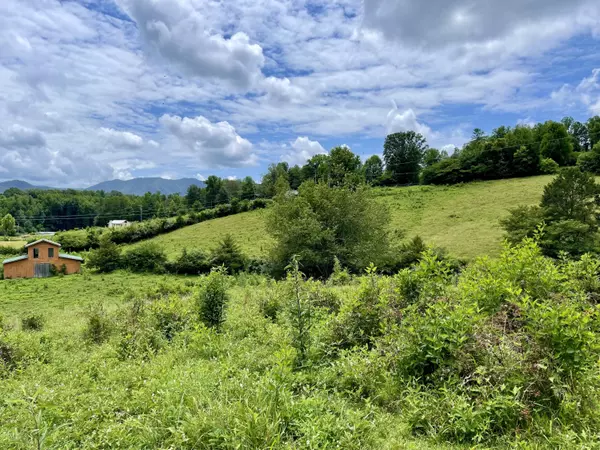 Townsend, TN 37882,5.31 Acres Rudd Hollow Rd