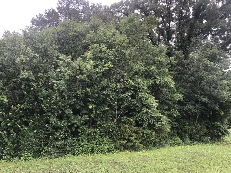 101 Inagehi Way, Loudon, TN 37774