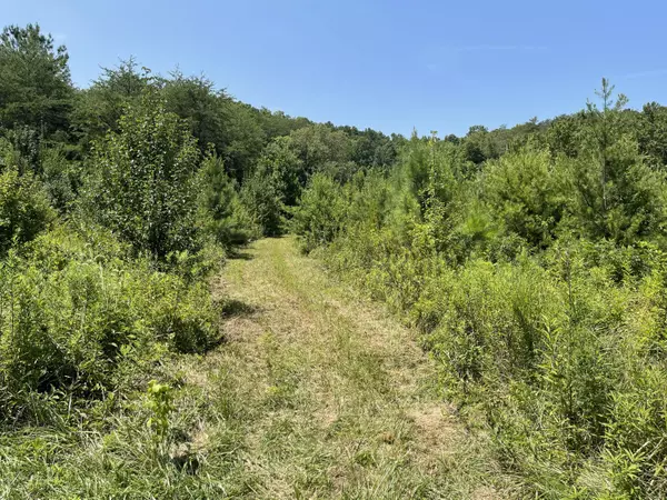 3 Point Rd, Vonore, TN 37885